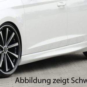 Rieger Seitenschweller
