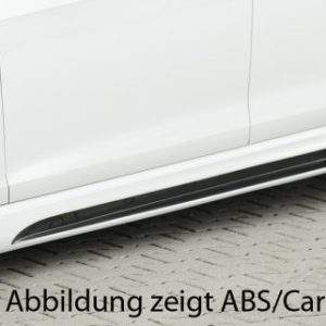 Rieger Seitenschweller