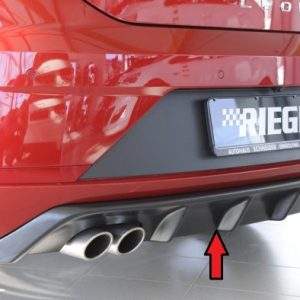 Rieger Heckeinsatz