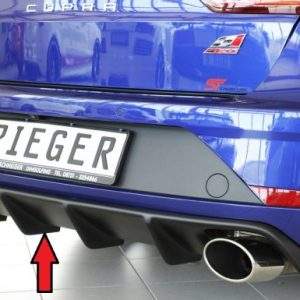 Rieger Heckeinsatz