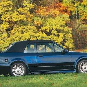 Rieger Kotflügel Breitbau I Escort III