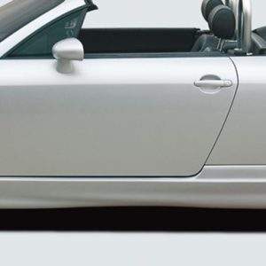 Rieger Seitenschweller