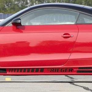 Rieger Seitenschweller