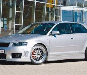 Rieger Seitenschweller