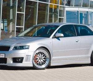 Rieger Seitenschweller