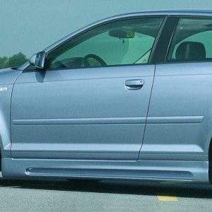 Rieger Seitenschweller