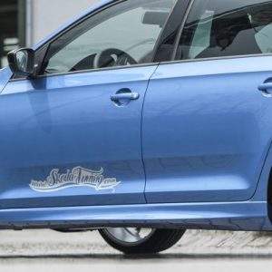 Rieger Seitenschweller