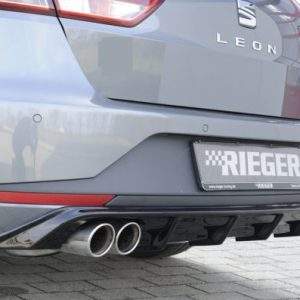 Rieger Heckeinsatz