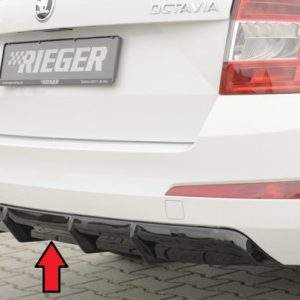 Rieger Heckeinsatz