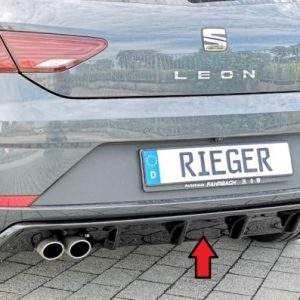 Rieger Heckeinsatz