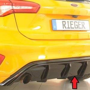 Rieger Heckeinsatz