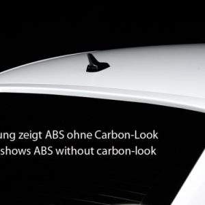 Rieger Heckscheibenblende ohne Aussparung für 3. Bremsleuchte