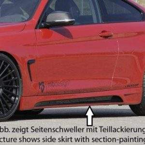 Rieger Seitenschweller