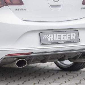 Rieger Heckeinsatz