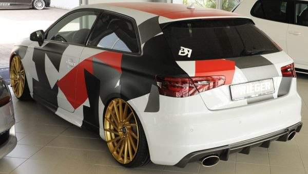 Rieger Heckeinsatz – Bild 9